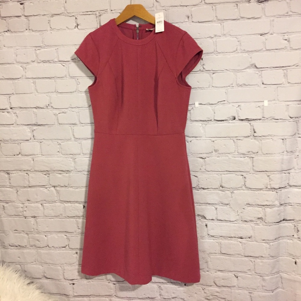 Loft mauve flare dress Sz 2 NWT